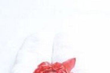 Briza Beach Resort Samui 3