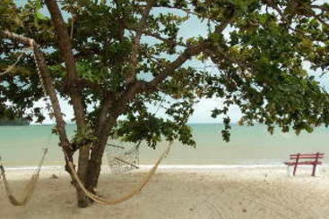 Hotel Phangka Paradise Resort 11