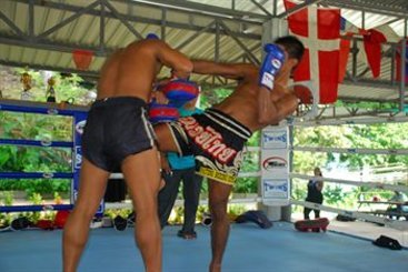 Secret Cliff Villa 5