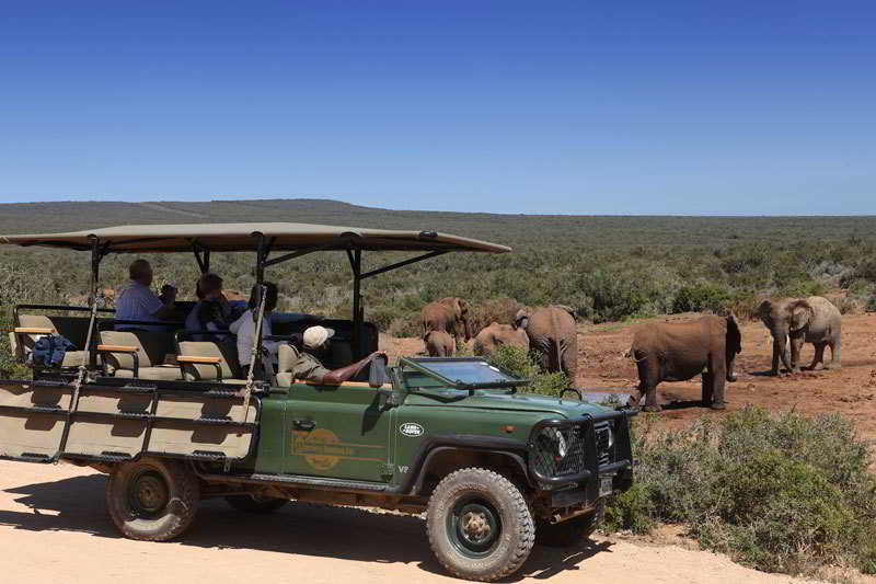 Hotel Zuurberg Mountain Village 3