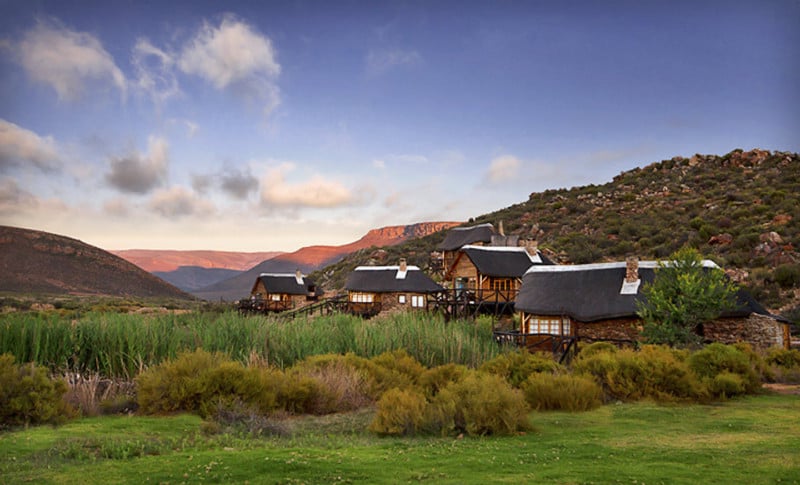 Hotel Aquila Private Game Reserve Western Cape