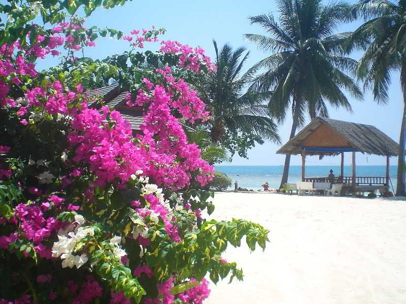 Seaboard Bungalows 2