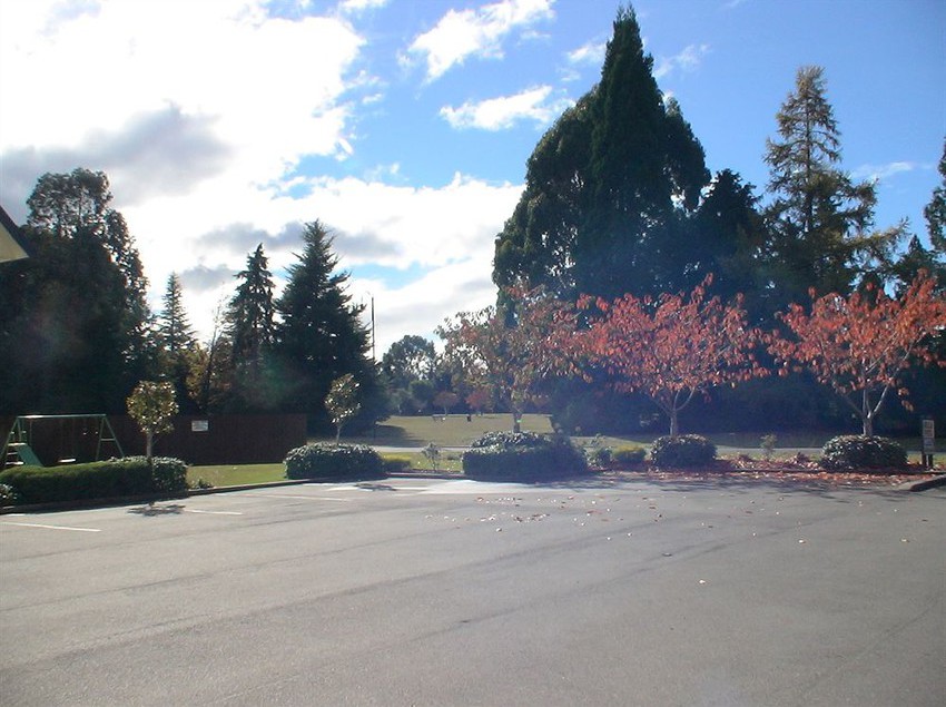 Bella Vista Motel Te Anau 3