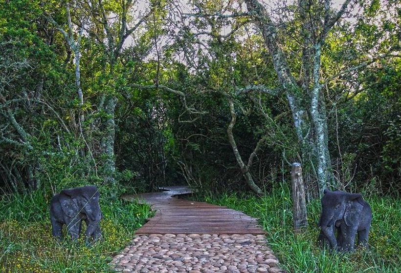 Hotel Sibuya Game Reserve & Lodge 19