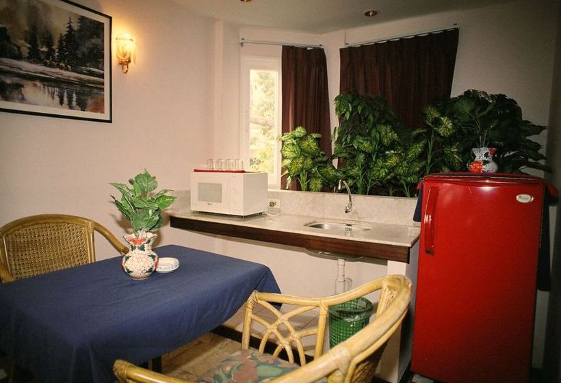 Hotel Paradise Inn 14