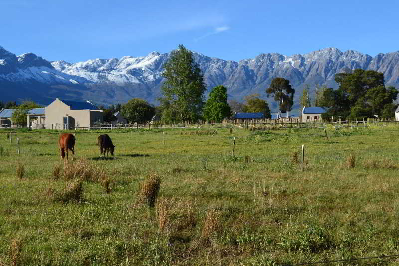 Hotel Saronsberg Vineyard Cottages