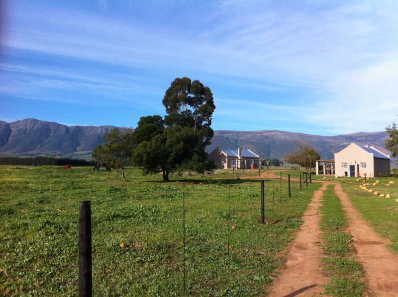 Hotel Saronsberg Vineyard Cottages 4