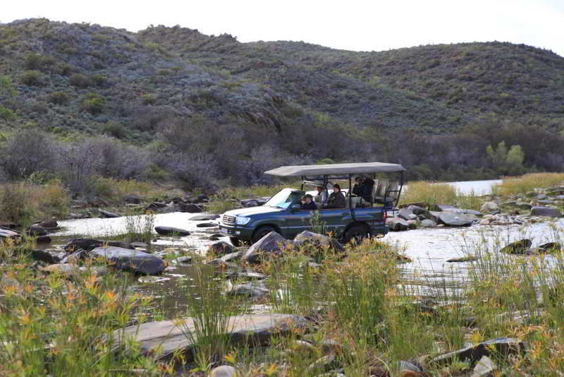 Hotel Madi Madi Karoo Safari Lodge 3