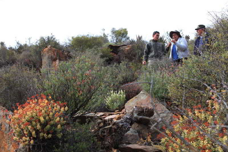 Hotel Madi Madi Karoo Safari Lodge 9