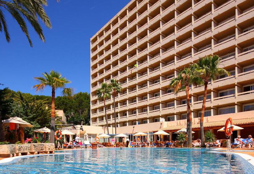Valentin Reina Paguera Hotel  | Paguera | Mallorca | España 1