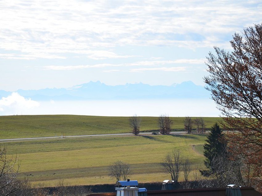 Hotel Princess Romantic 15