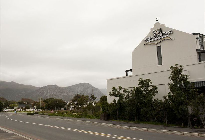 Hotel The Whale Coast 12