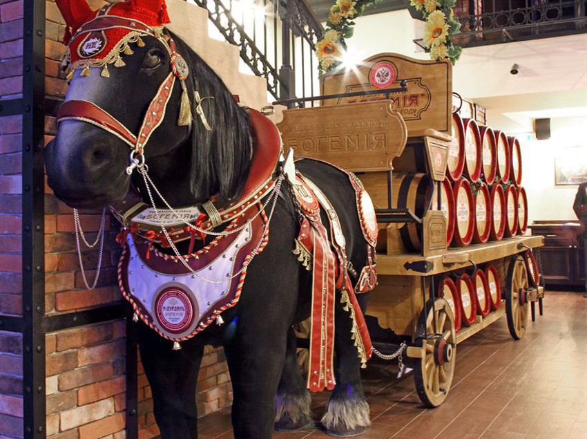 Hôtel Alesha Popovich 19