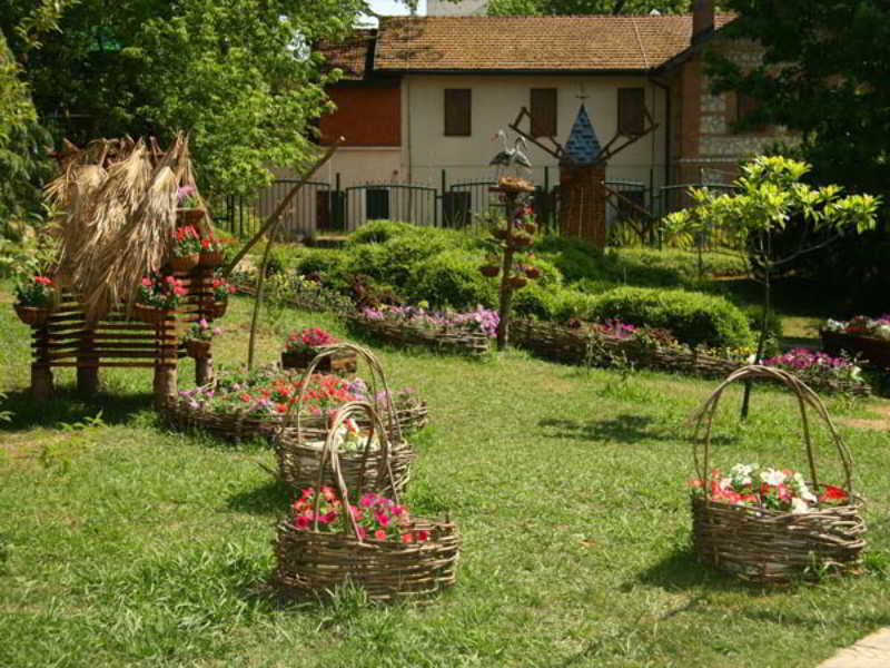 Olimpic Hotel Sochi Dagomys