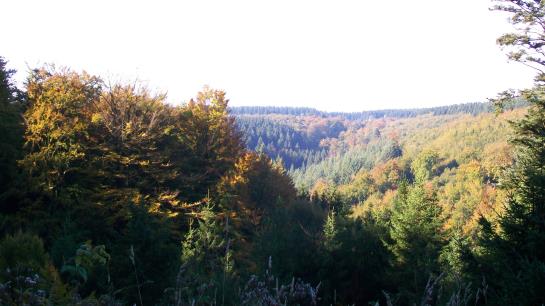 Hotel Landhaus Eifelsicht 16