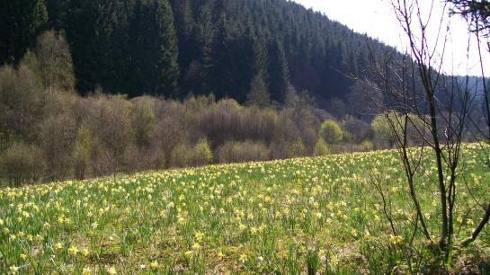Hotel Landhaus Eifelsicht 18
