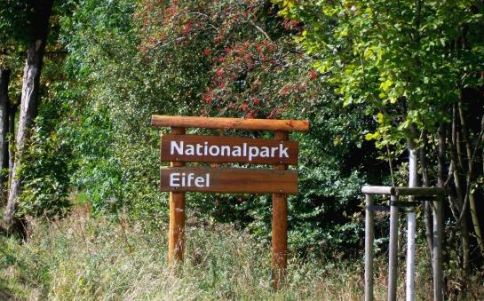 Hotel Landhaus Eifelsicht 20