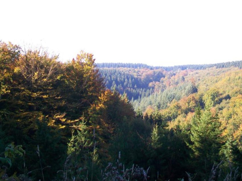 Hotel Landhaus Eifelsicht 7