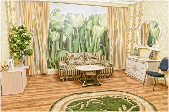 Hotel Gostiniy Dom Bryansk 19