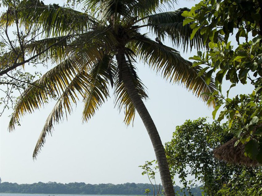 Hotel Deshadan Backwater Resort 1