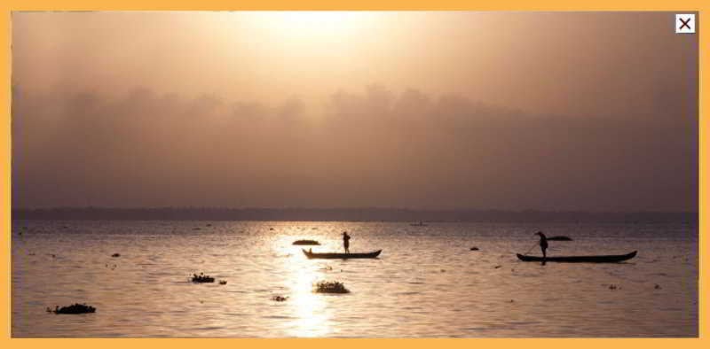 Hotel Deshadan Backwater Resort 17