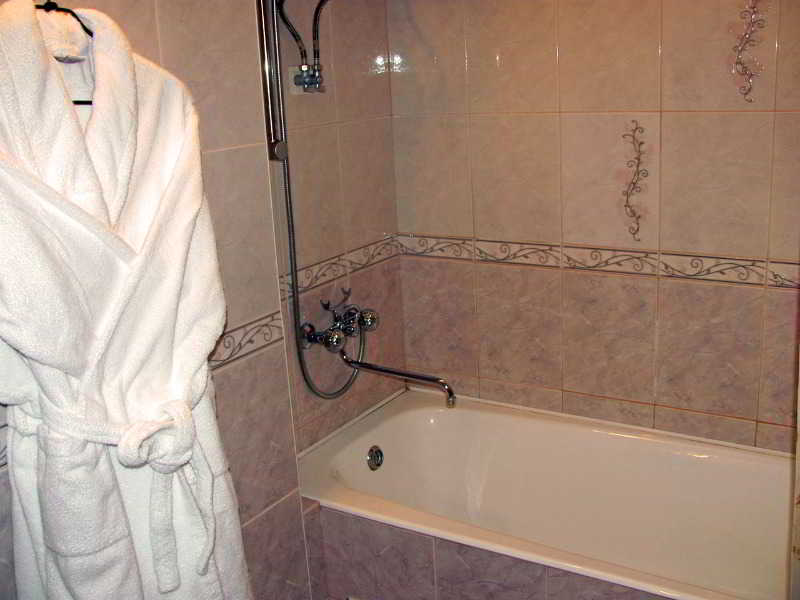 Hotel Zolotaya Dolina 8