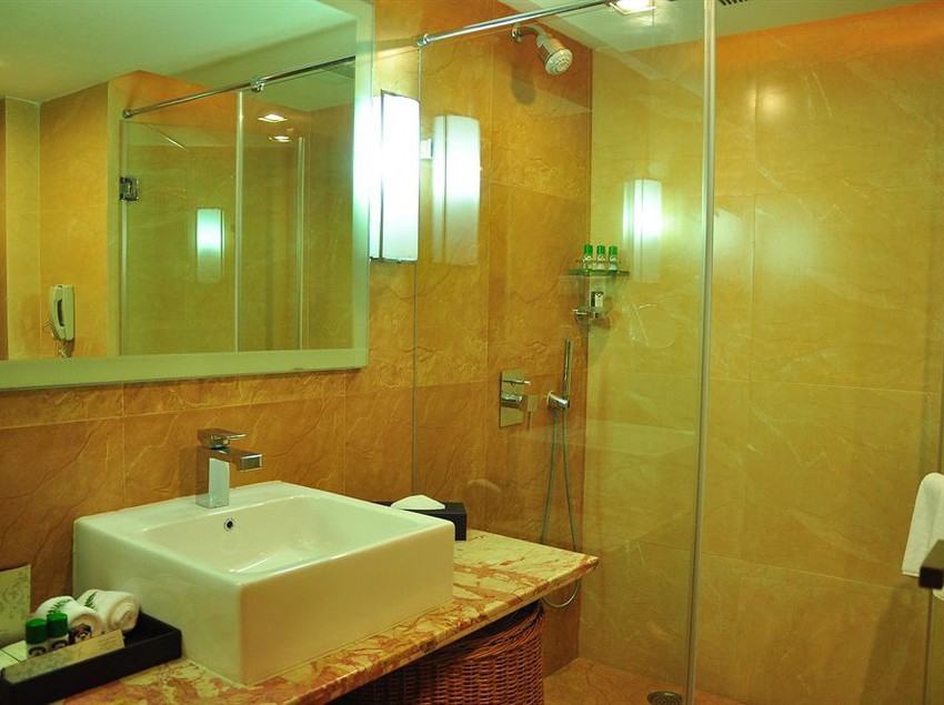 Hotel Manasarovar The Fern 15