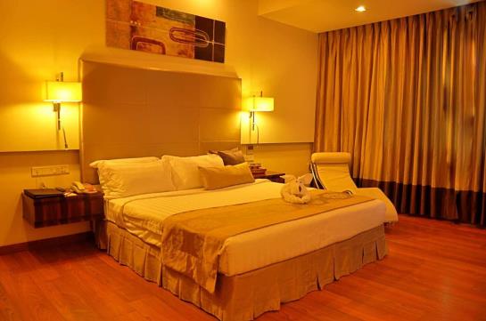 Hotel Manasarovar The Fern 17