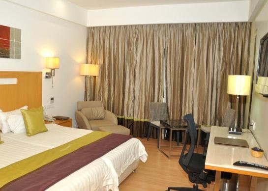 Hotel Manasarovar The Fern 20