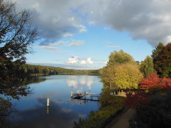 Avendi Hotel Am Griebnitzsee 19