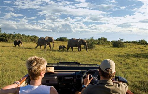 Hotel Kichaka Lodge 1