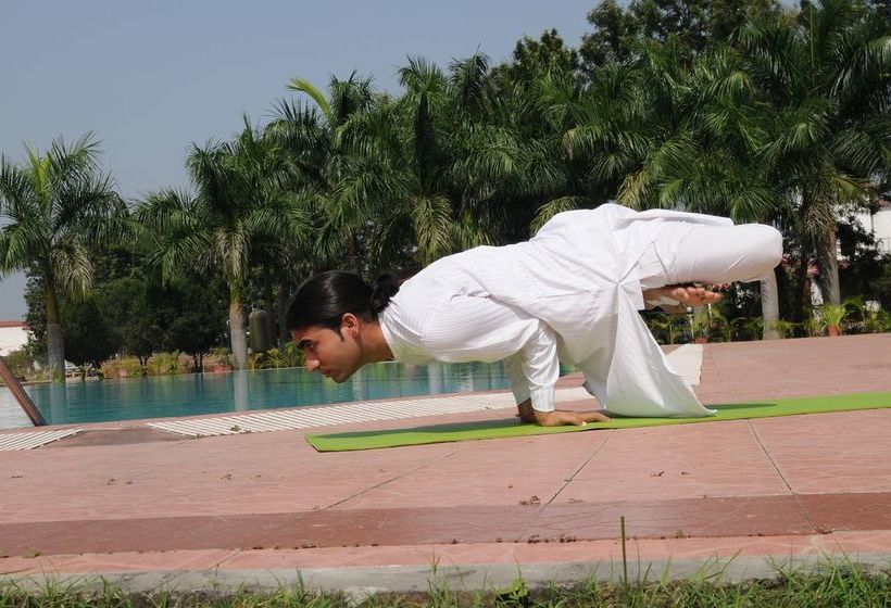 Hotel Naturoville Vedic Retreat 18