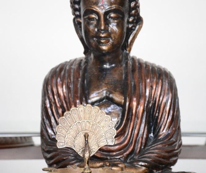 Hotel Naturoville Vedic Retreat 20