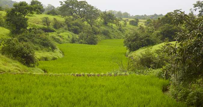 Hotel Hilton Shillim Estate Retreat & Spa 14