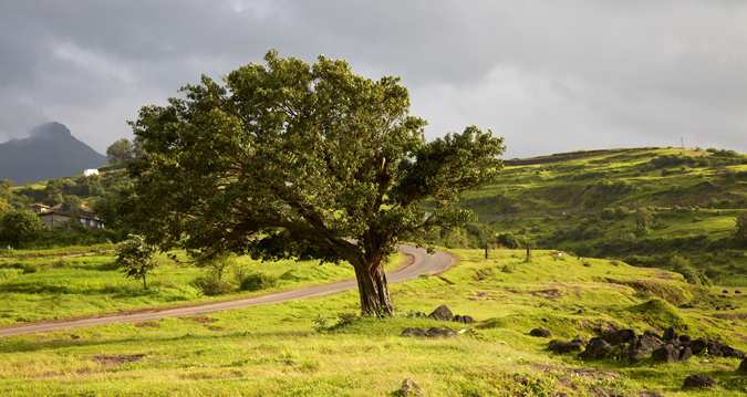 Hotel Hilton Shillim Estate Retreat & Spa 7