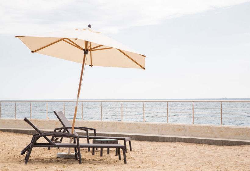 Swissotel Sochi Kamelia 13