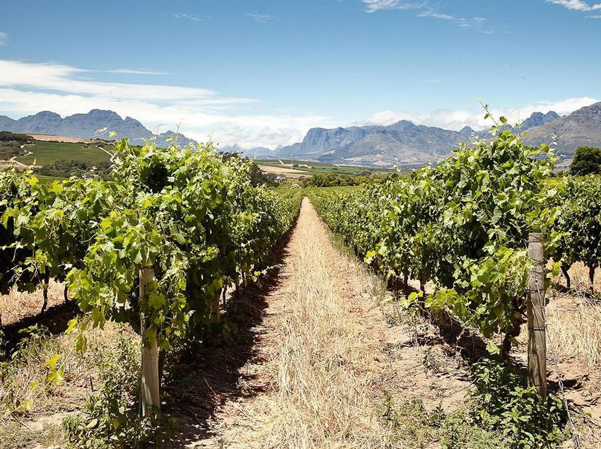 Hotel Wedgeview Country House & Spa