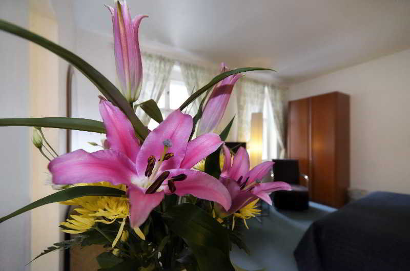 Old Town Apartments Greifswalder Strasse 19