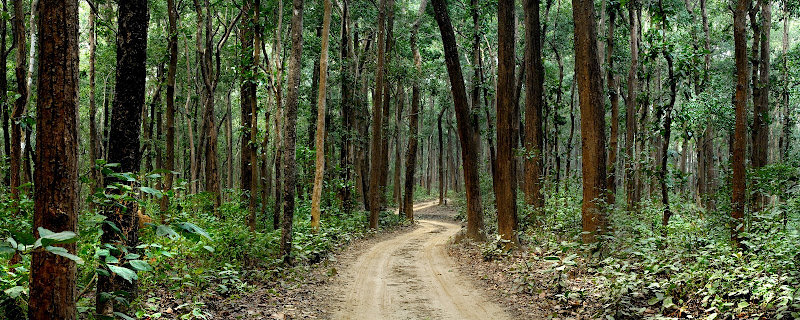 Hotel The Hideaway River Lodge 1