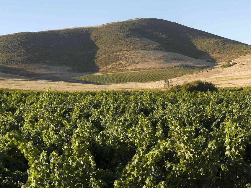 Hotel Meerendal Boutique 3