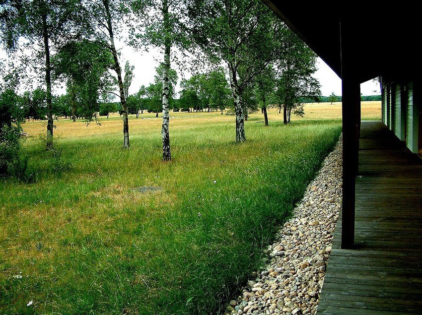 Hotel Camp Reinsehlen Schneverdingen Baja Sajonia