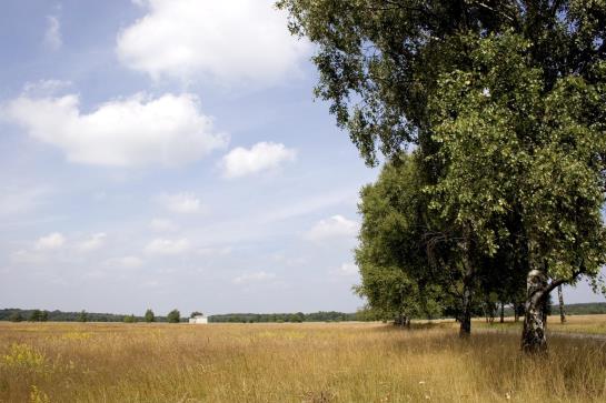 Hotel Camp Reinsehlen 11