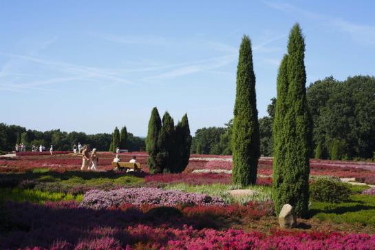 Hotel Camp Reinsehlen 8