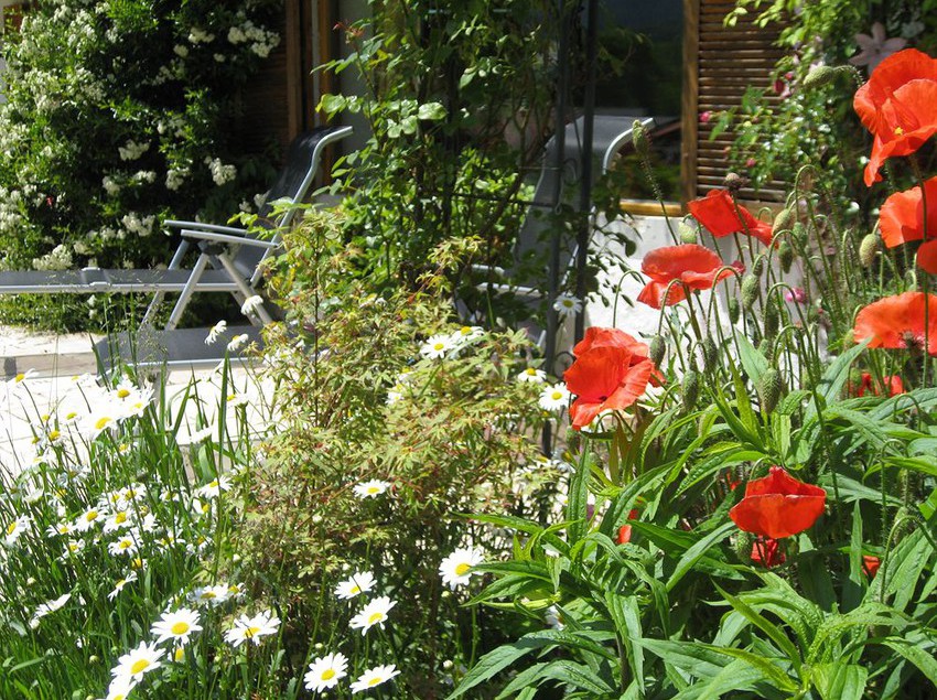 Pensione Boehm Gästehaus 11