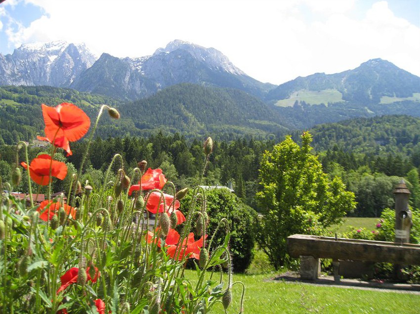 Pensione Boehm Gästehaus 18