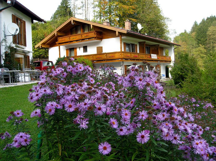 Pensione Boehm Gästehaus 5