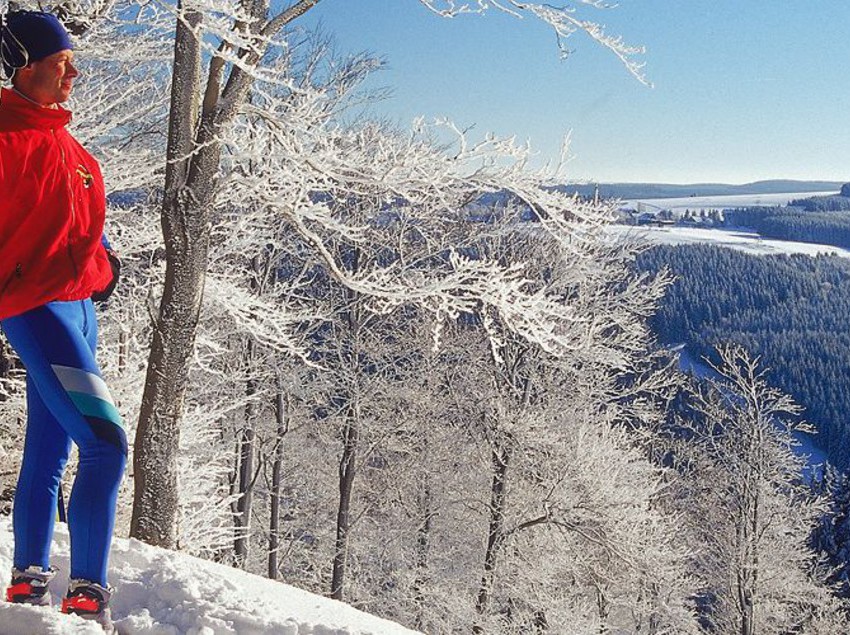 Pension Landgasthof Rüppel 2
