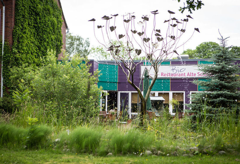 Bio-hotel Miramar 12