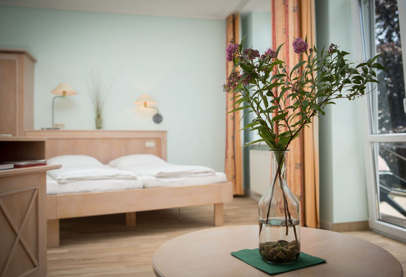 Bio-hotel Miramar 16