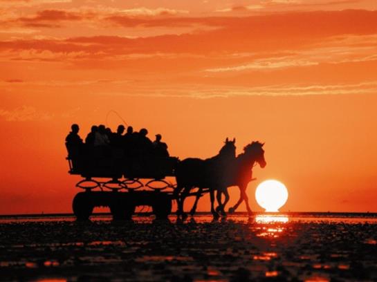 Hotel Muschelgrund 11